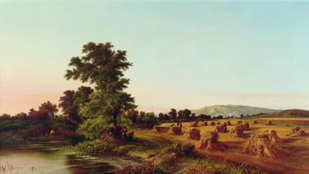 A Surrey Cornfield